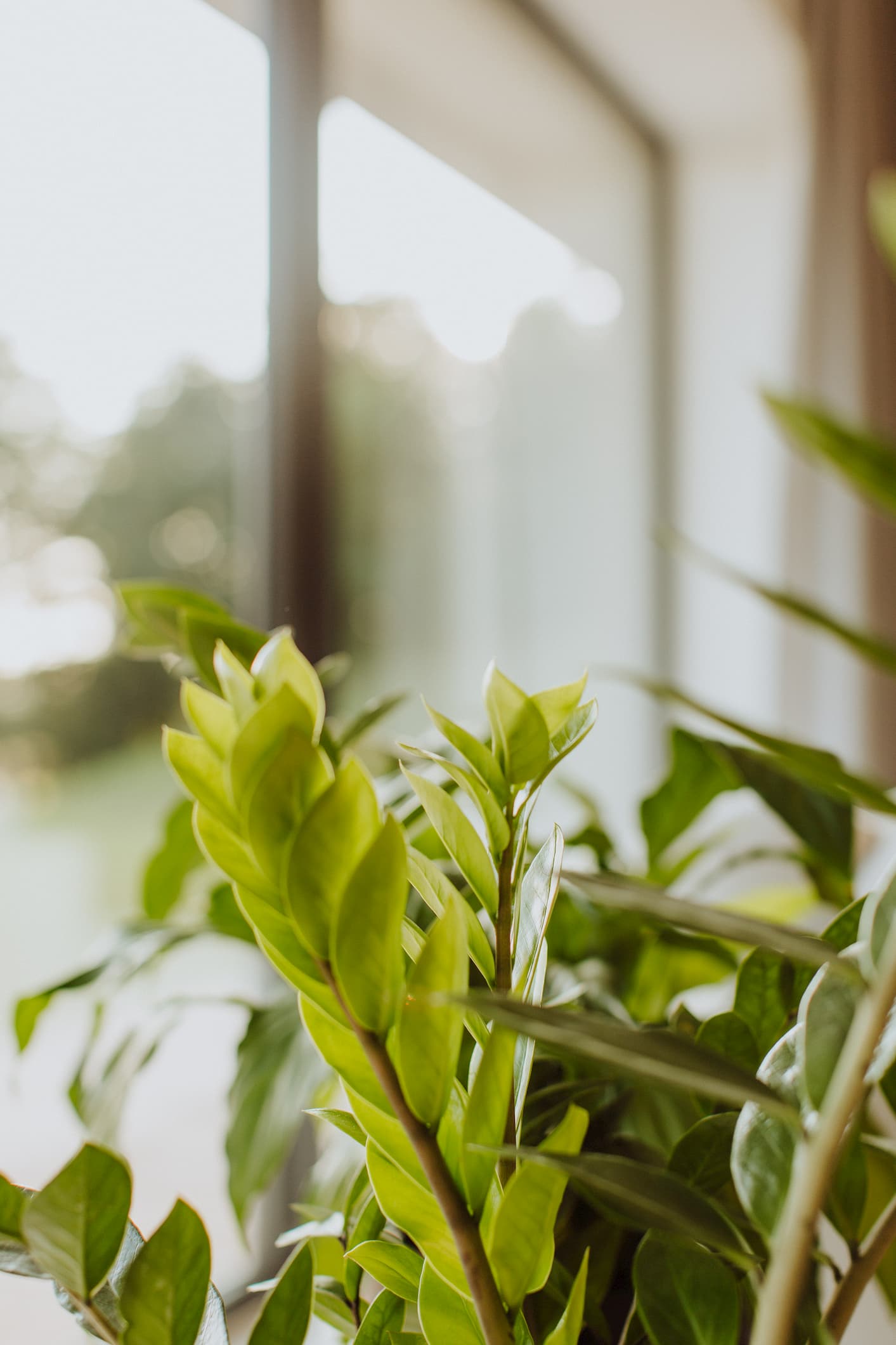 Zdjęcie projektu Wnętrze domu Sampława 2