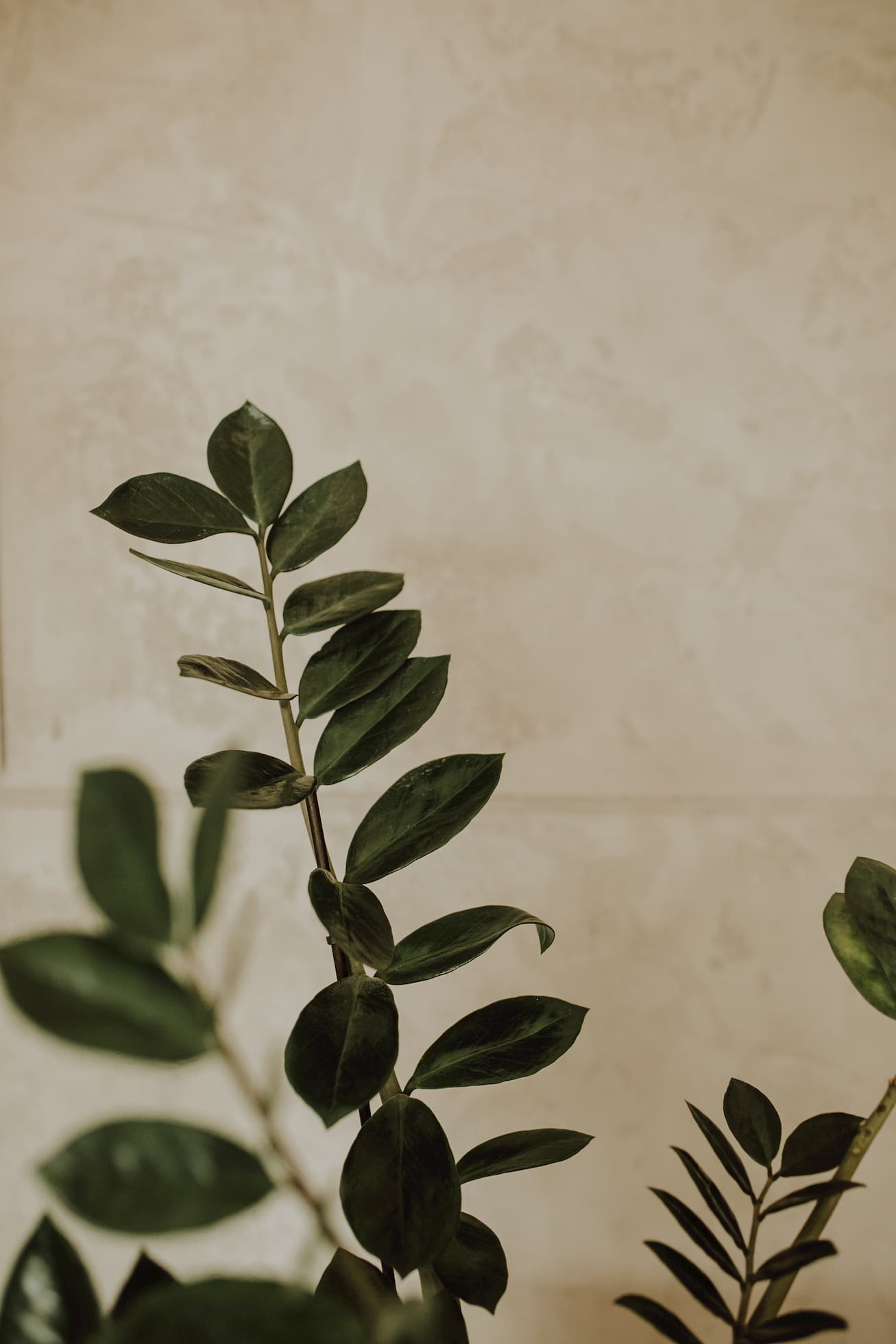 Zdjęcie projektu Wnętrze domu Sampława 1